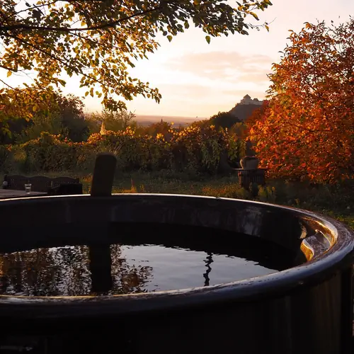 D&eacute;zsaf&uuml;rdő