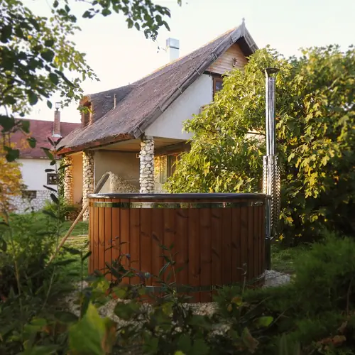 D&eacute;zsaf&uuml;rdő