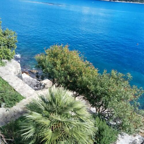 Apartmanok A Tenger Mellett Sobra, Mljet - 22329 Sobra  2