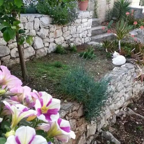 Apartmanok A Tenger Mellett Sobra, Mljet - 22343 Sobra  3