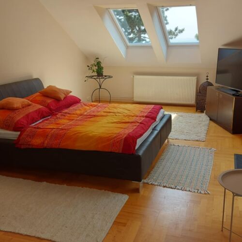 Elisa Rezi-Dencia Apartman Rezi  4