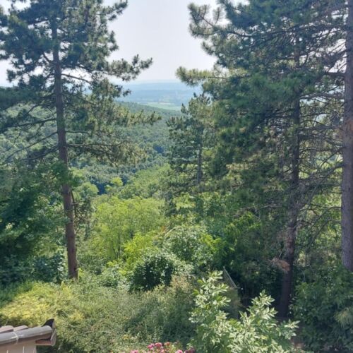 Elisa Rezi-Dencia Apartman Rezi