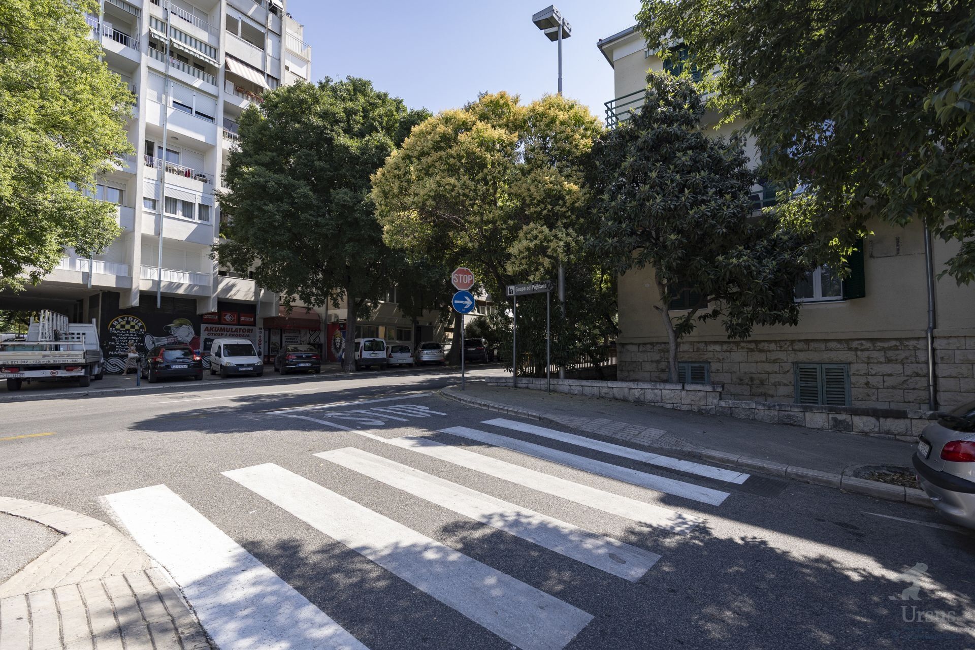 Apartman Nettle Tree Split