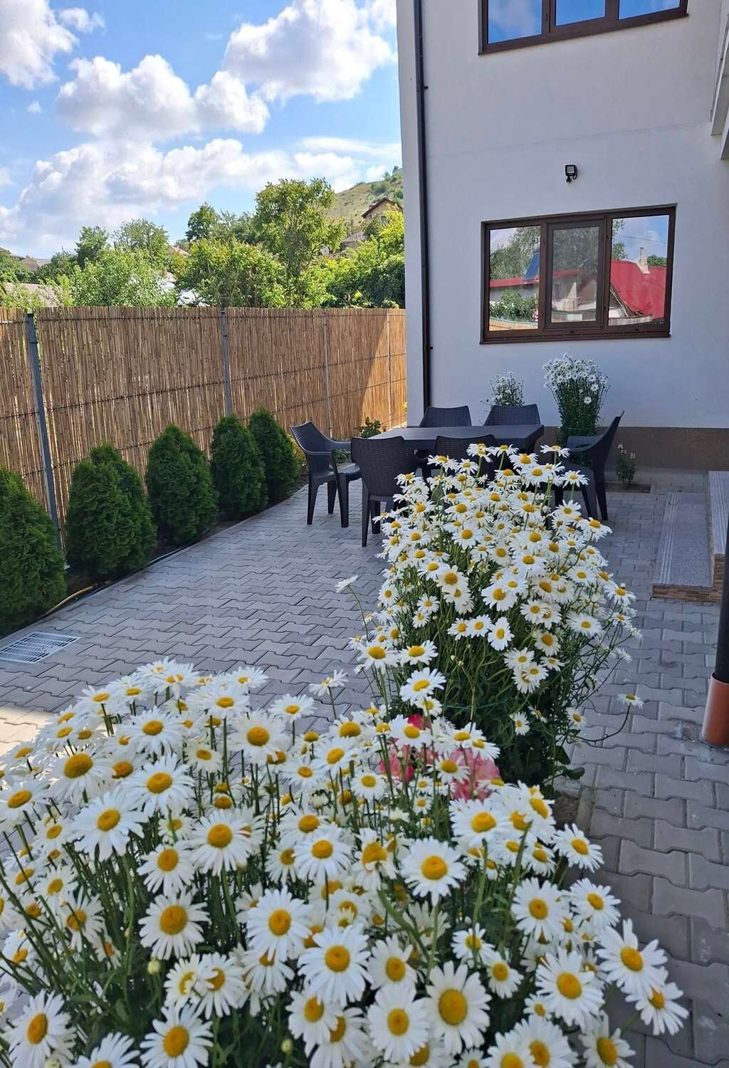 Casa Iulian Mahmudia 