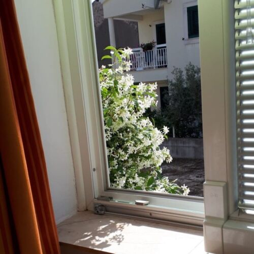 Apartment Apartment Yellow Baska Voda  3