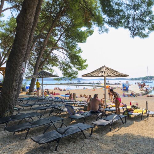Apartments Vesna Vodice  2