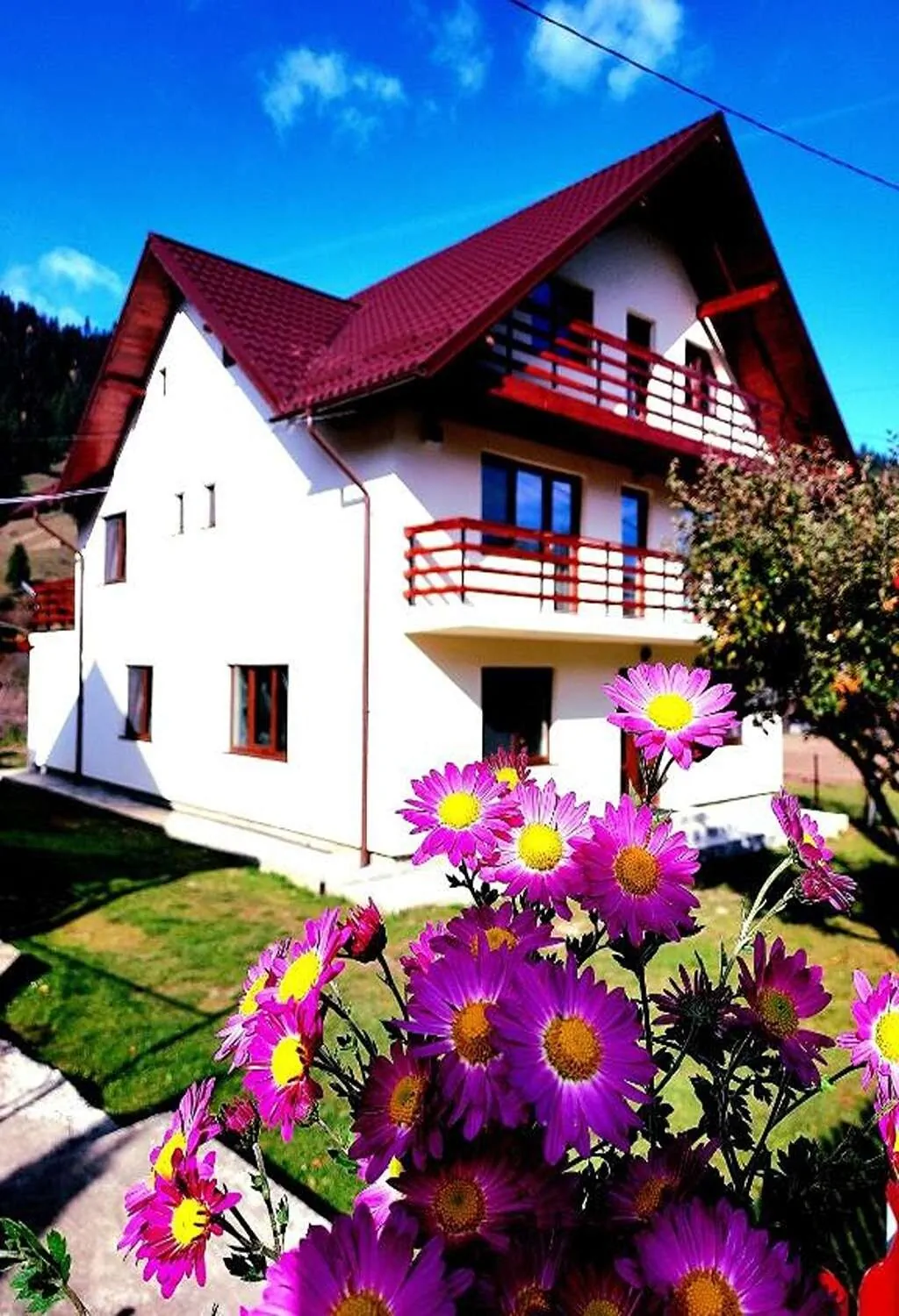 Casa Elena Ceahlău