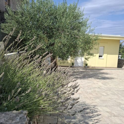 Apartments Neda Bilice  3