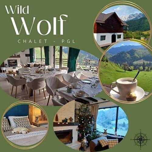 Casa Wild Wolf Adventure Rucăr