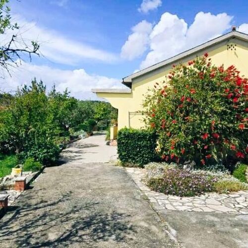 House Solis Palit