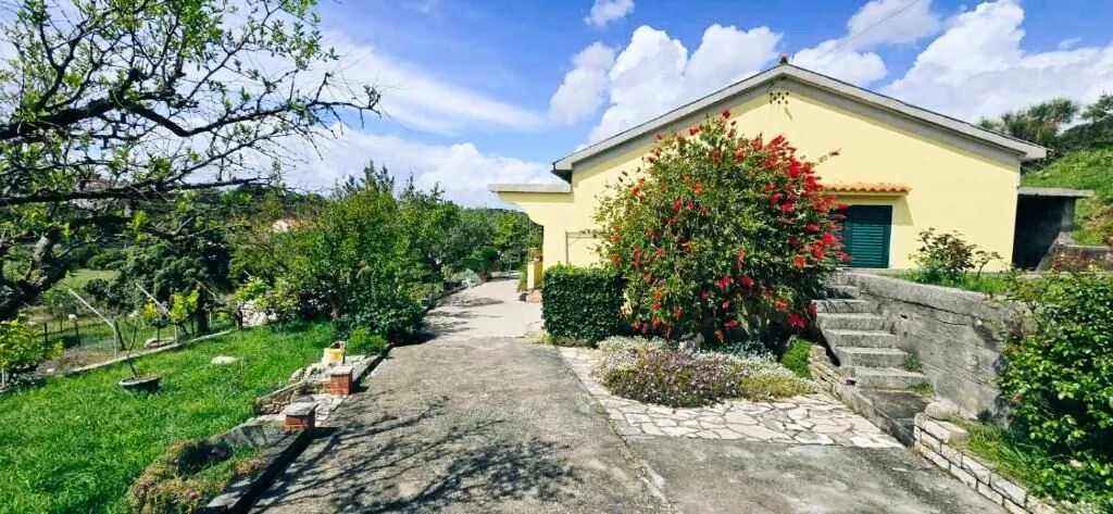 House Solis Palit