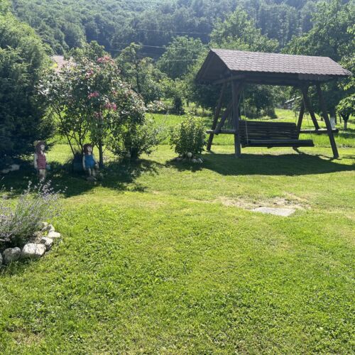 Curte cu mult spațiu verde
