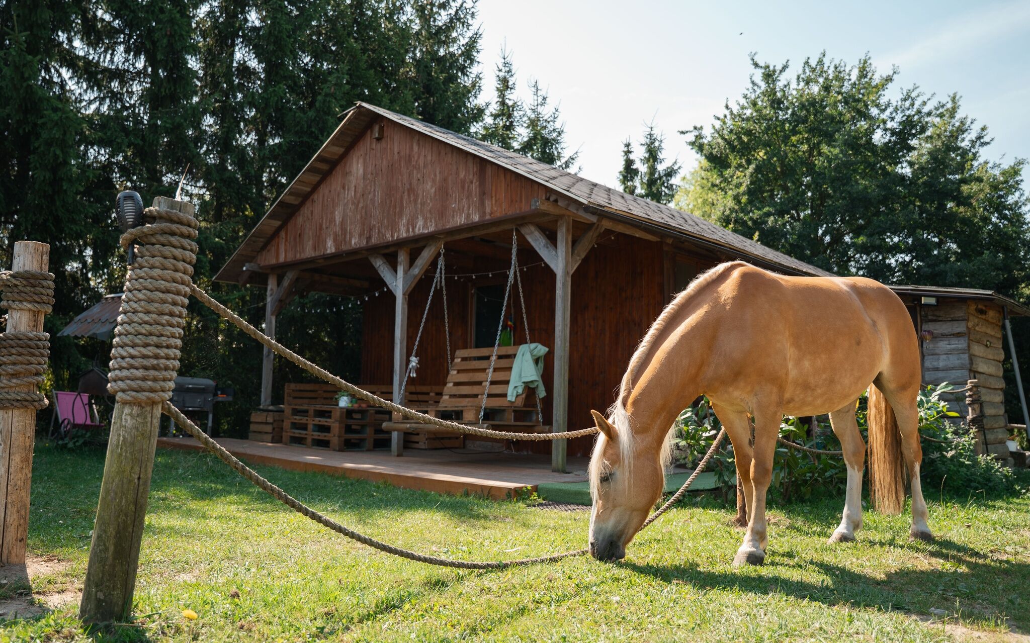 Domek na Ranczo Gniezno