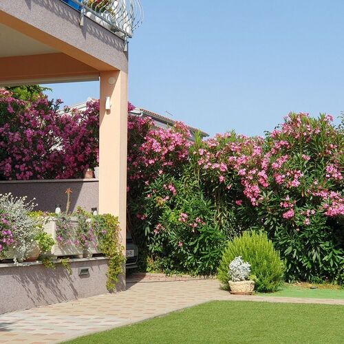 Apartmanok Parkolóhellyel Tribunj, Vodice - 23680 Tribunj