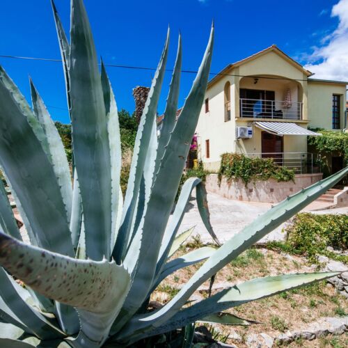 Apartmanok Parkolóhellyel Sali, Dugi Otok - 24032 Sali