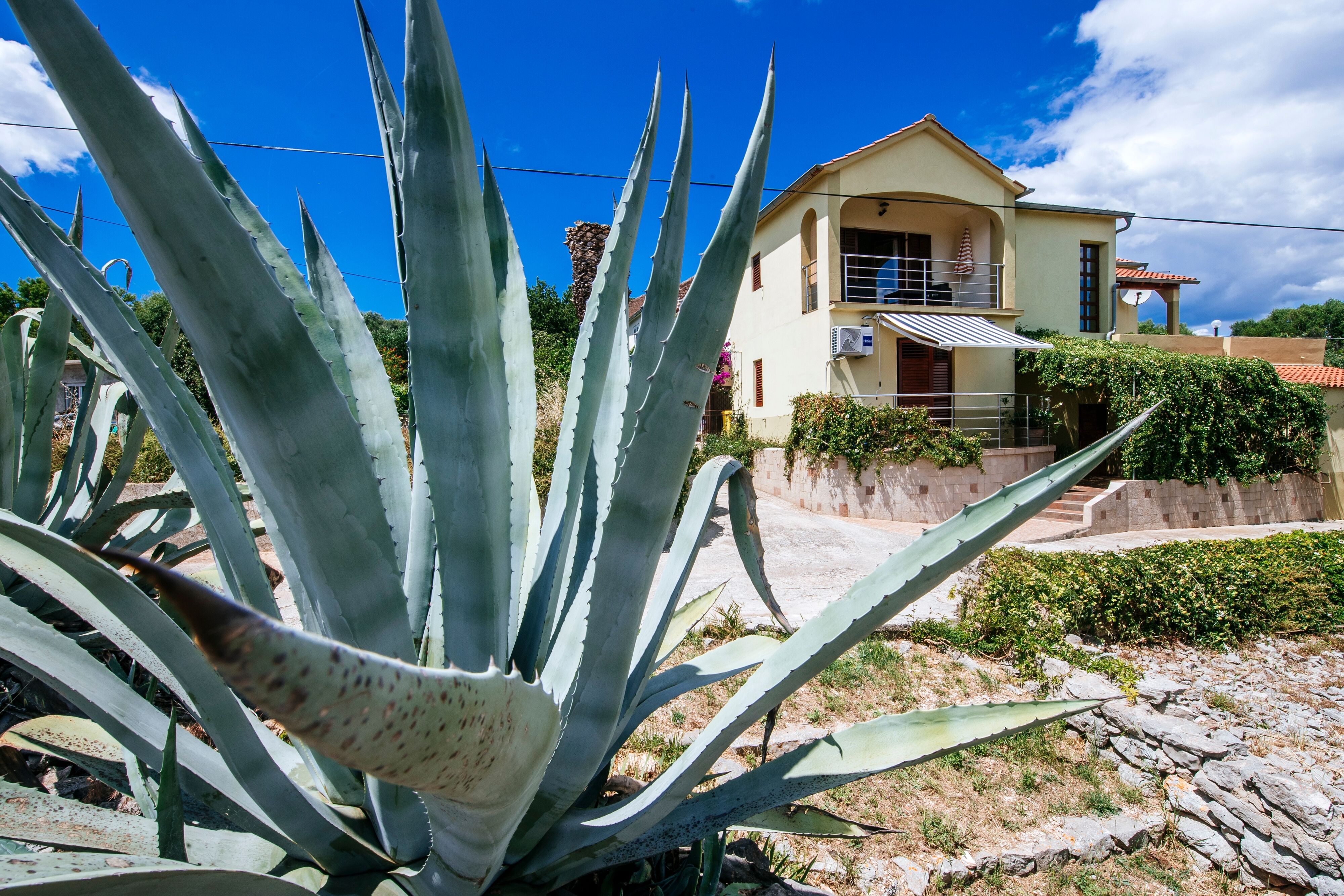 Apartmanok Parkolóhellyel Sali, Dugi Otok - 24032 Sali