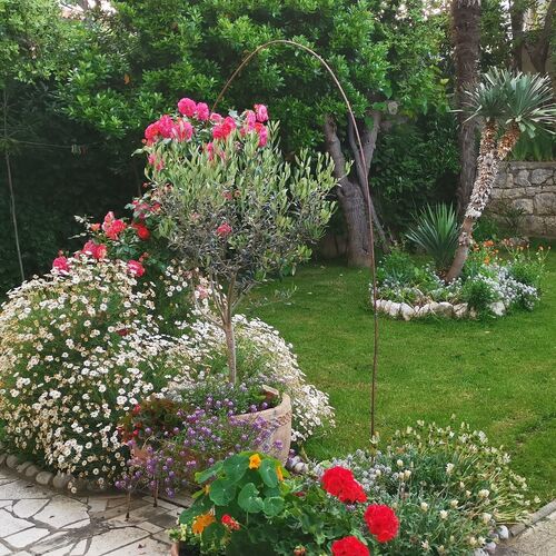 Apartmanok Parkolóhellyel Lopar, Rab - 24156 Lopar