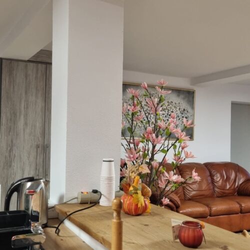 Casa de Sub Brazi Fântânele