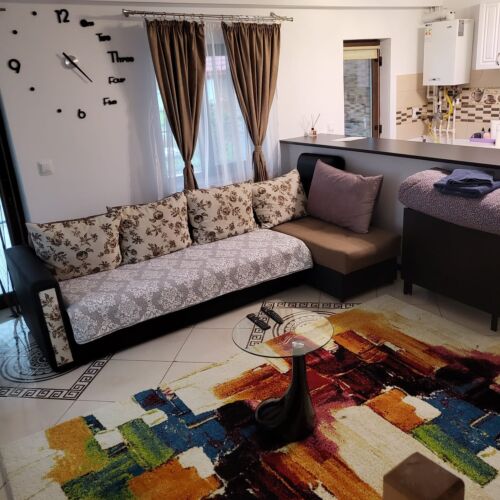 Casa de oaspeți Petronel  Vaslui