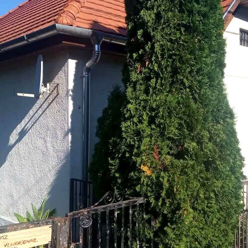 Fehér Ház Vendégház Kemence