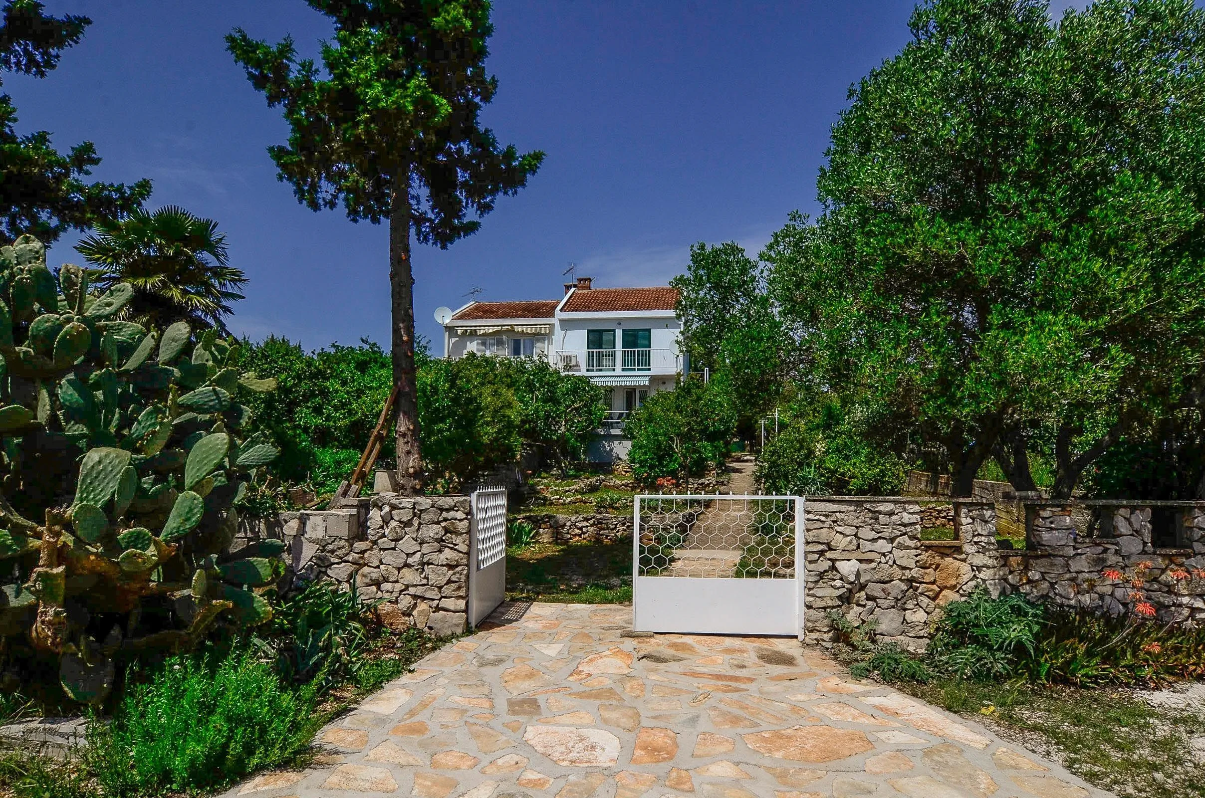 House Loviste