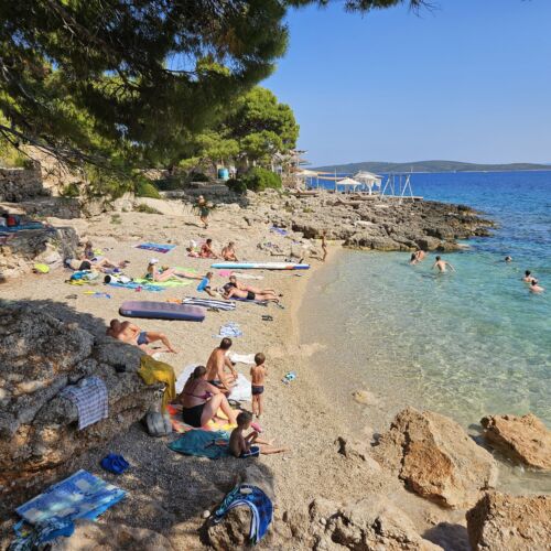 Apartments Sea and Pine Ivan Dolac