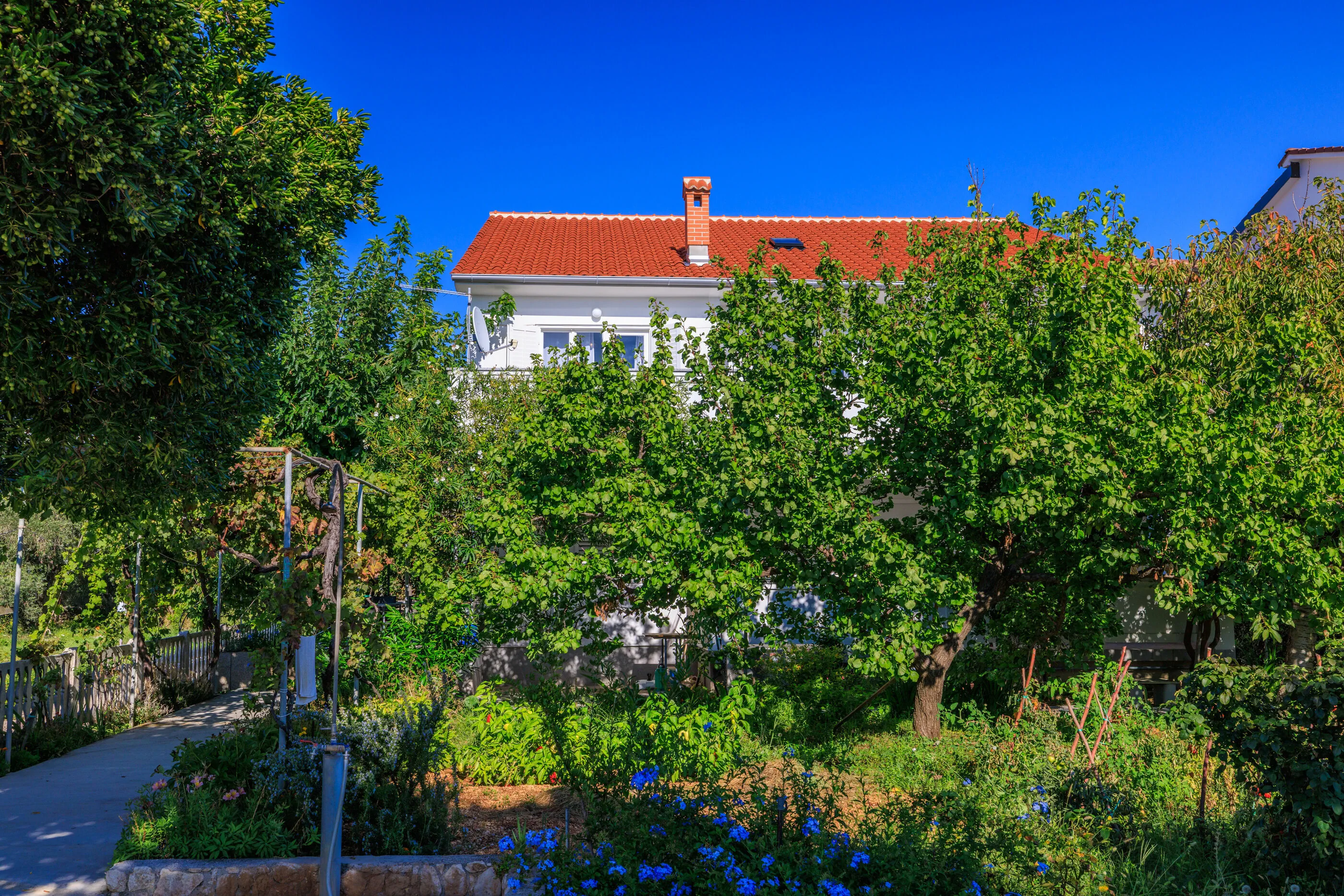 Apartments Ivica Barbat