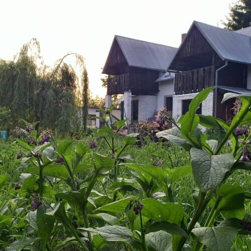 Agroturystyka Siedlisko Po Kolei Karczmiska