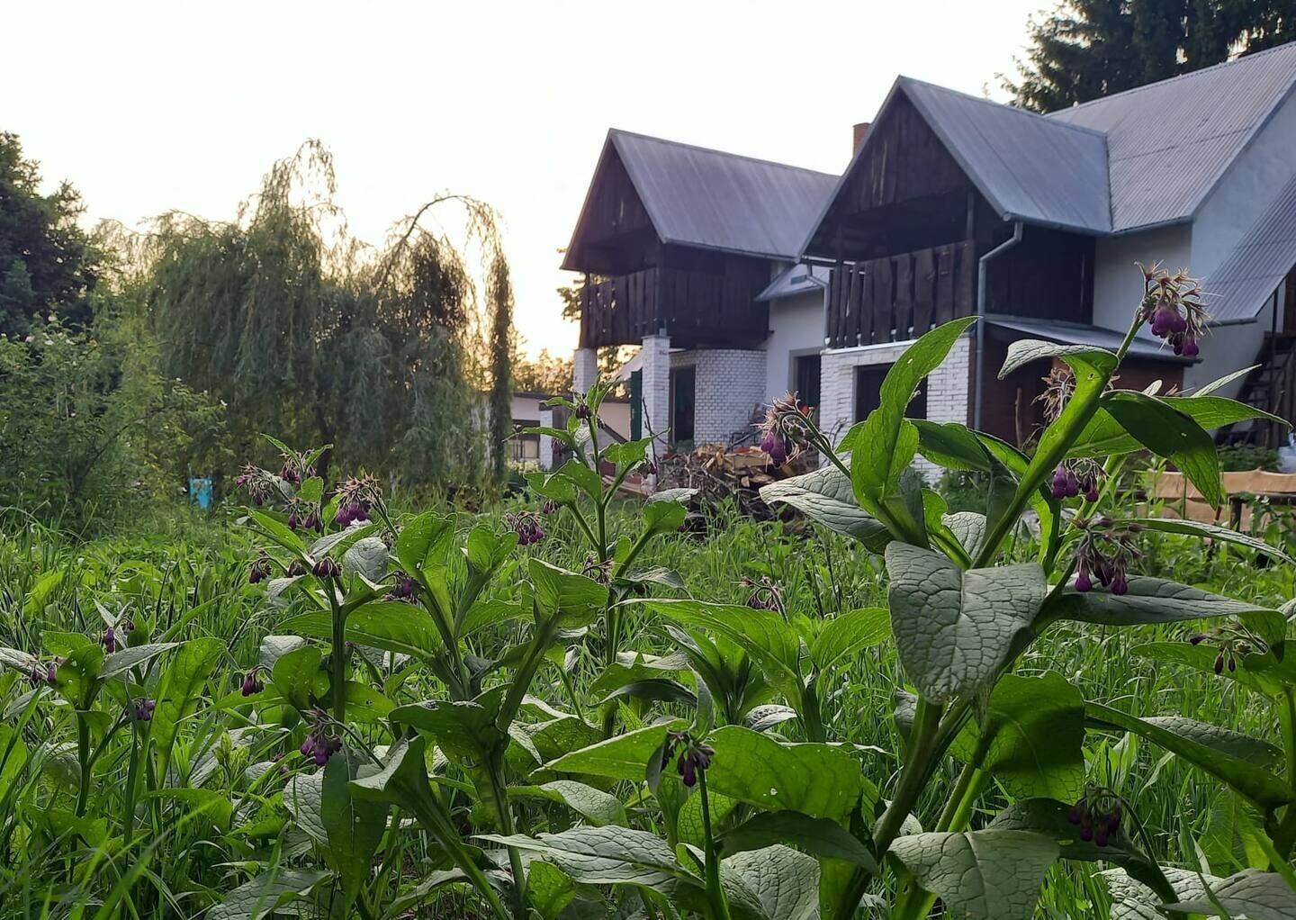 Agroturystyka Siedlisko Po Kolei Karczmiska