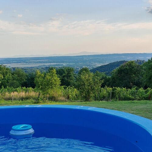 D&eacute;zsaf&uuml;rdő kil&aacute;t&aacute;ssal