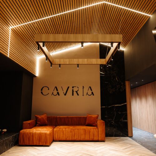 Cavria Sauna House Șurdești