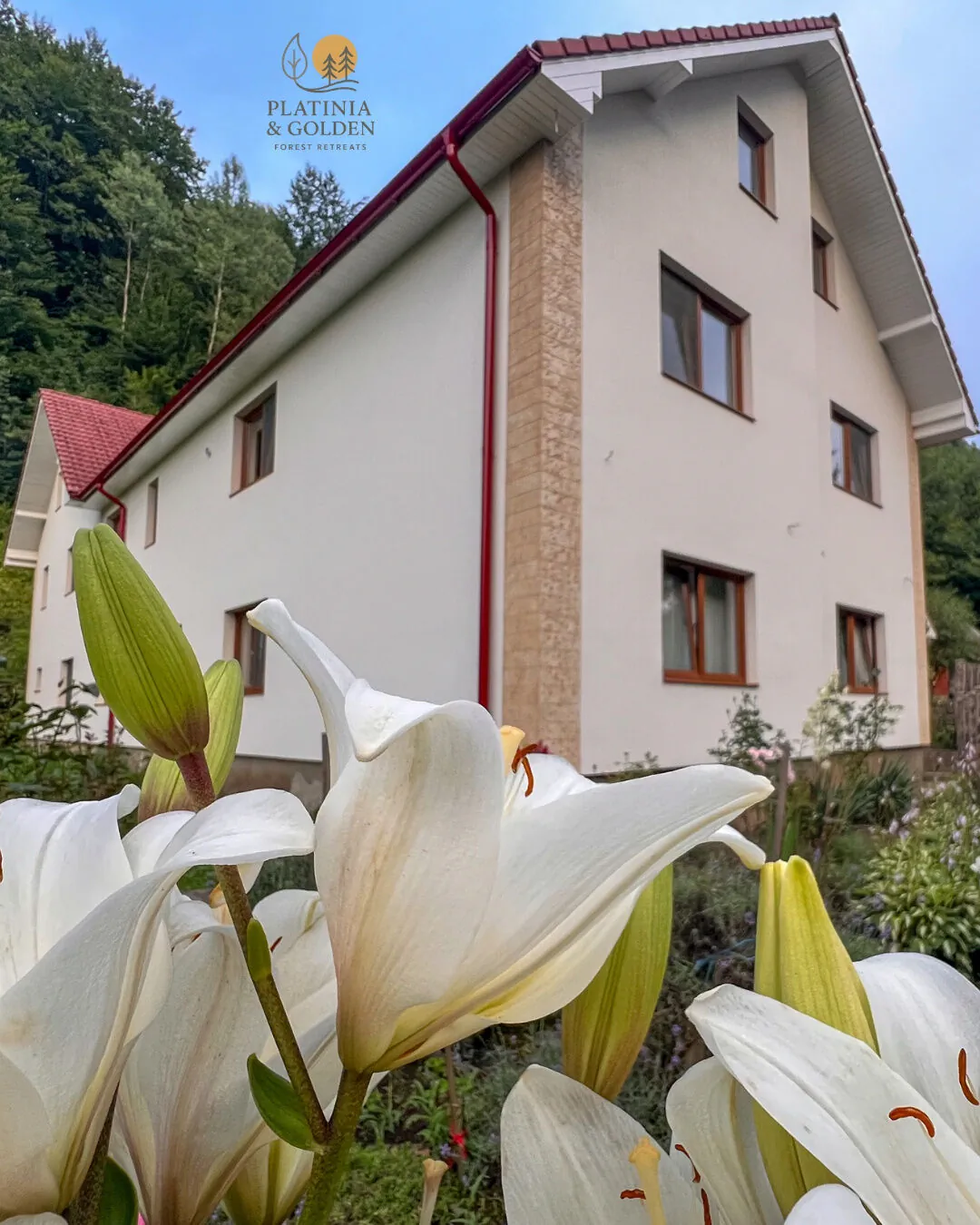 Golden Forest Retreat Iod