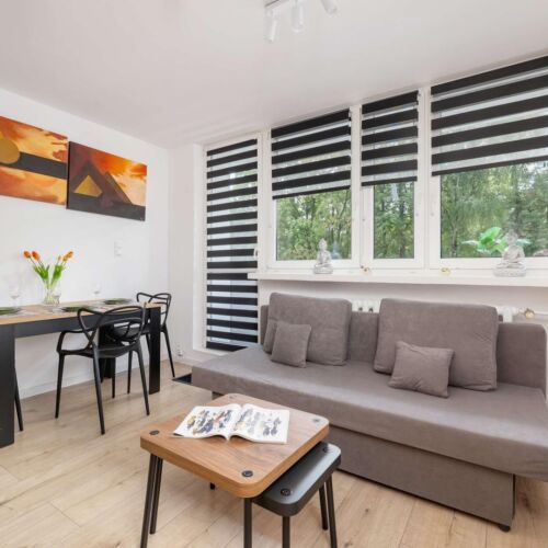 Komfortowy Apartament | Balkon | Park Śląski, Zoo Katowice