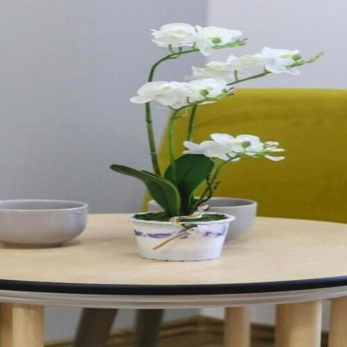 Rabbit Hole Apartments Superior Extension Sibiu