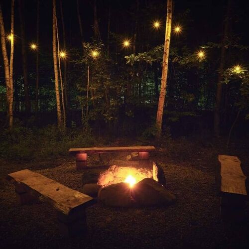 Căsuța cu Brazi Viștișoara