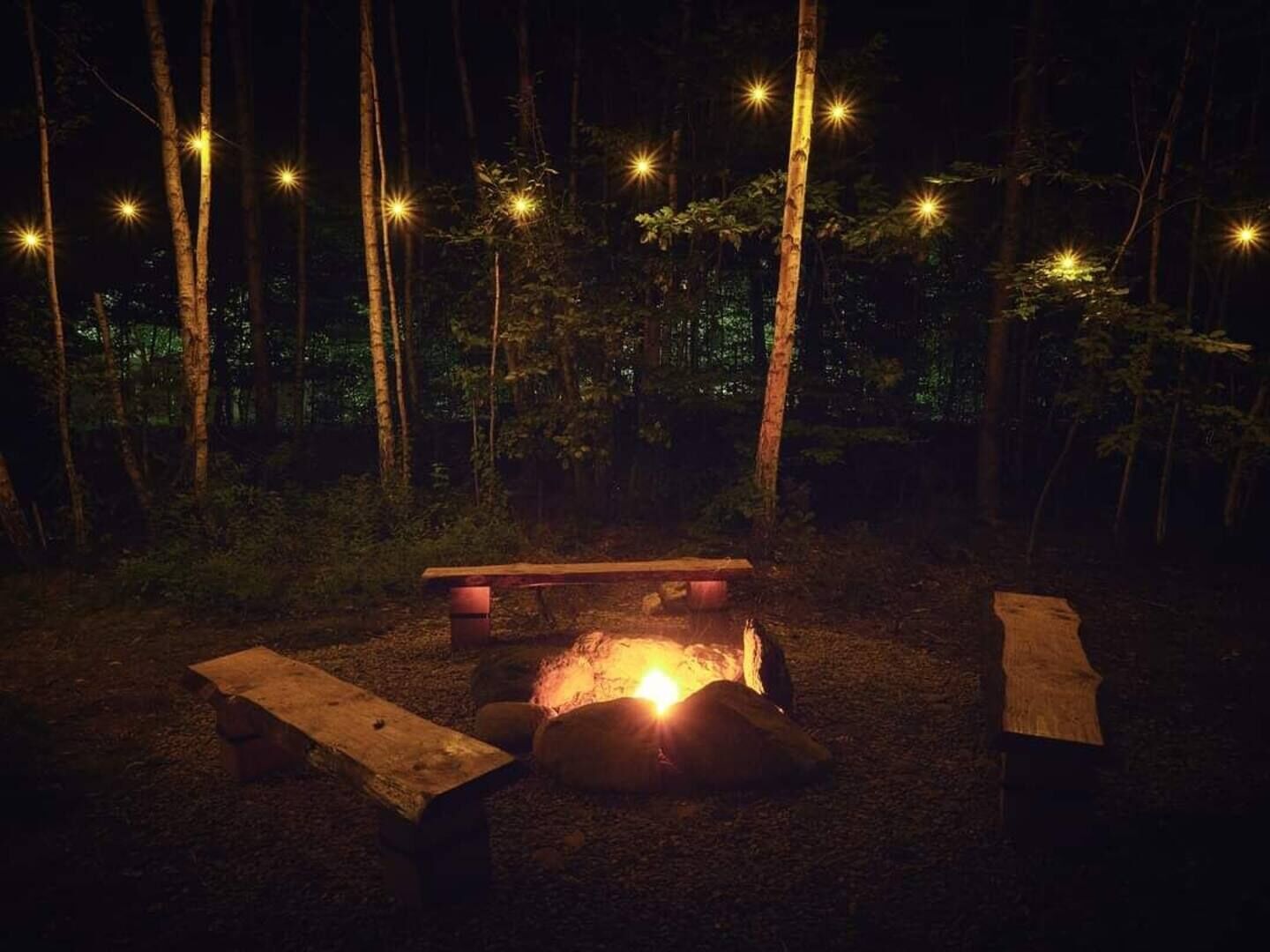 Căsuța cu Brazi Viștișoara