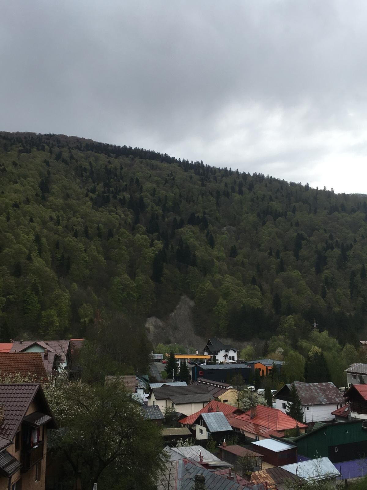 Apartament Splendid View Sinaia