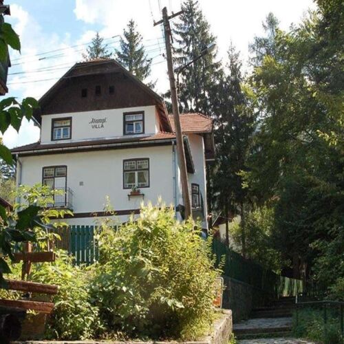 Manyi Villa Băile Tuşnad