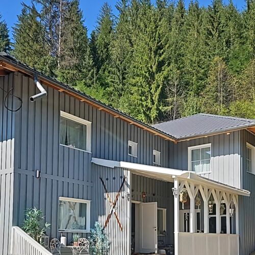 Cabana Vikingilor Bucovina Vama