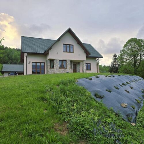 Dom Bieszczadnik Polańczyk