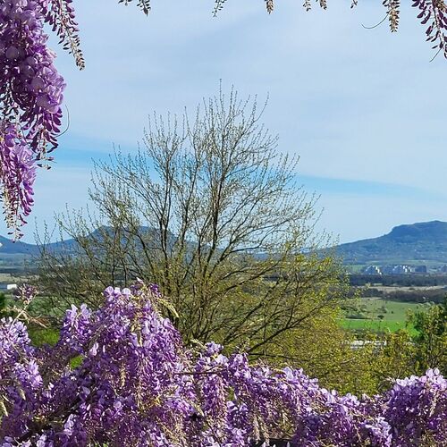 Sol Invictus Vendégház Zalahaláp