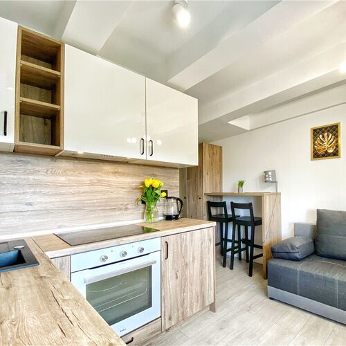 BP Apartment Złoty Zielony Granatowy Toruń