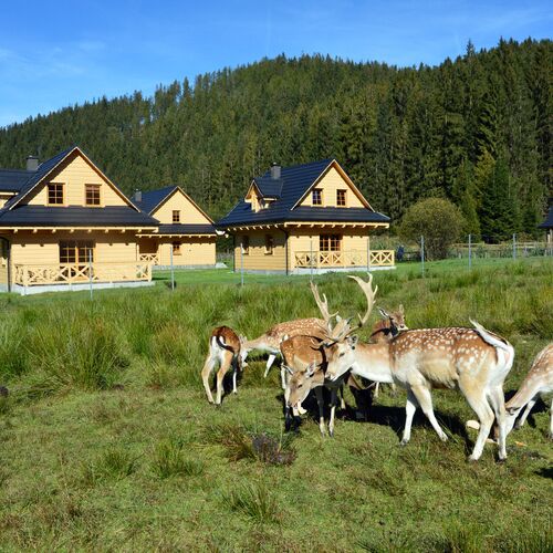 Domki Wypoczynkowe Romanówka Żywiec