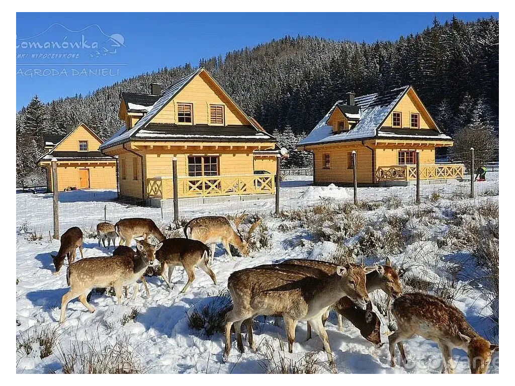 Domki Wypoczynkowe Romanówka Żywiec