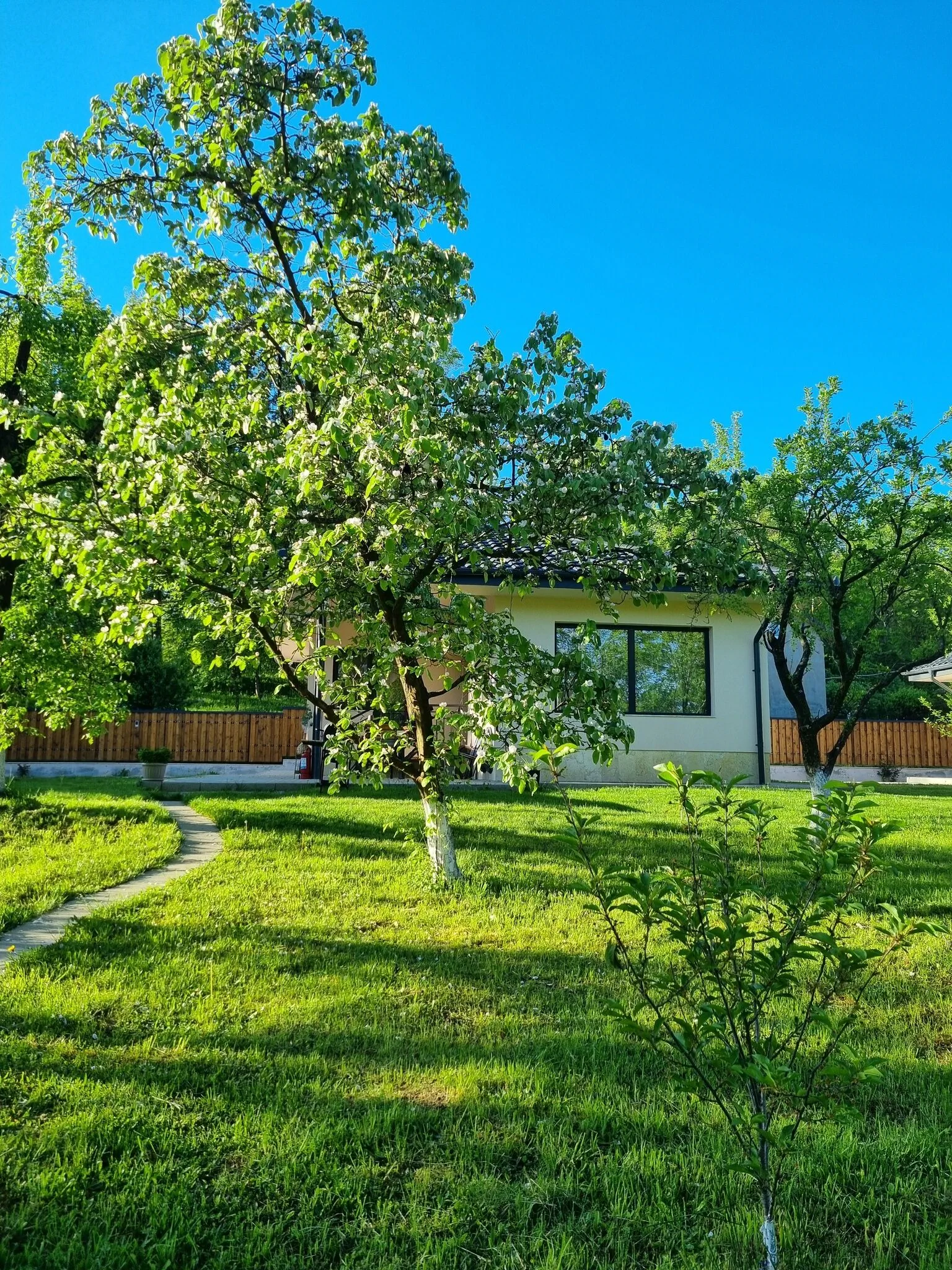 Apartament Tetra Plus 569 Breaza de Jos