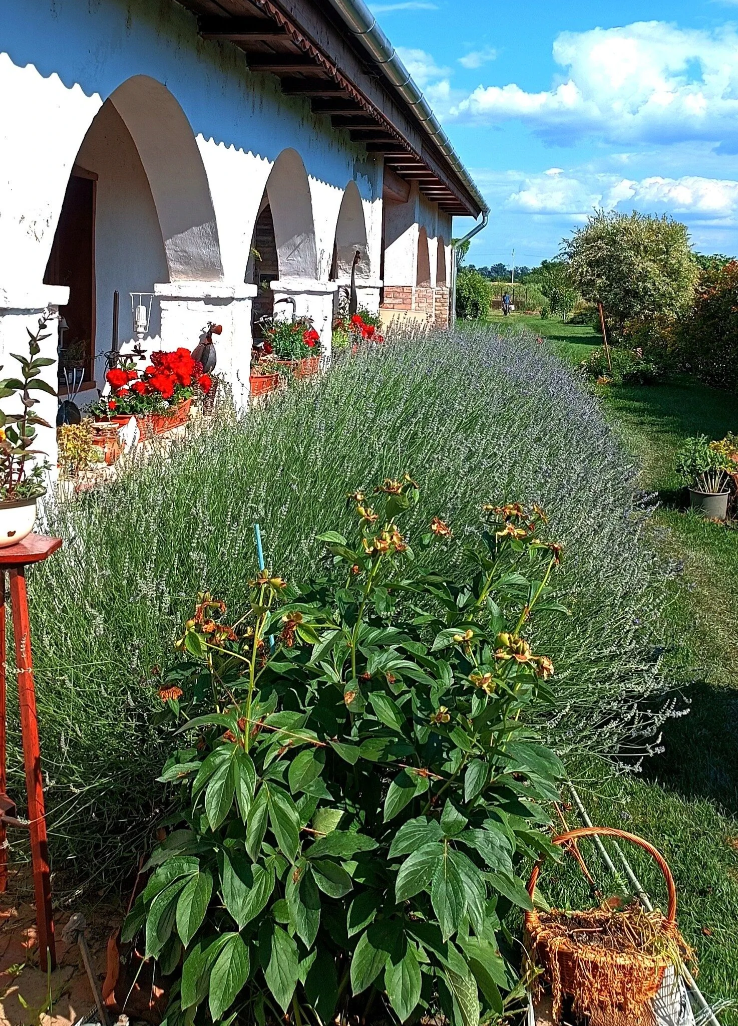 Villa Negra Vendègház Balatonfőkajár