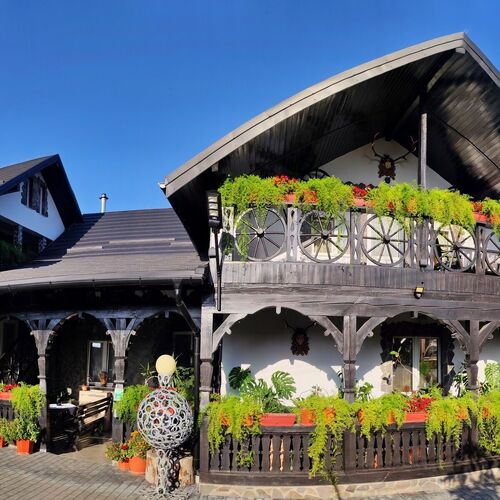 Pensiunea Potcovaru Vişeu de Sus