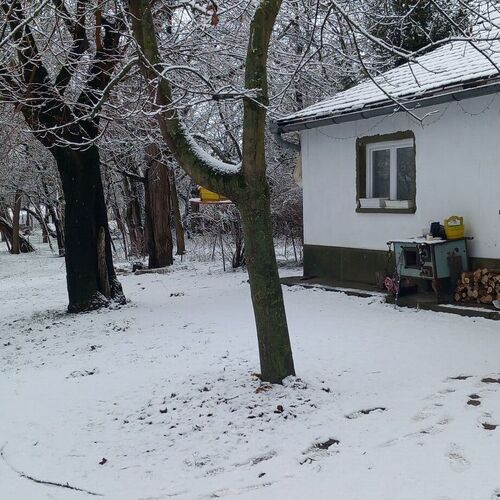 Majs-lakó Kiskunmajsa