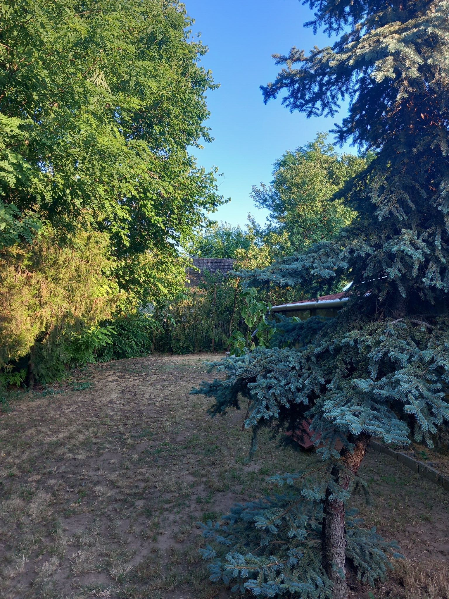 Majs-lakó Kiskunmajsa