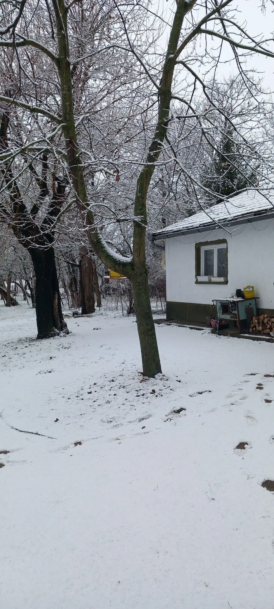 Majs-lakó Kiskunmajsa